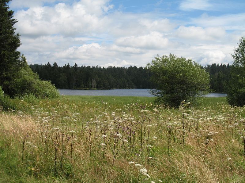 k-etang_006.jpg