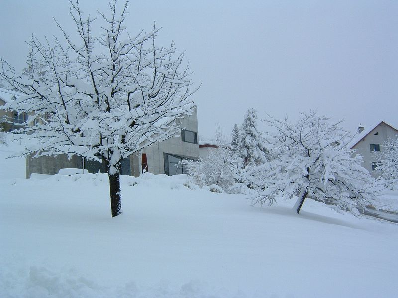 k-jahrhundertschnee_2006_005.jpg